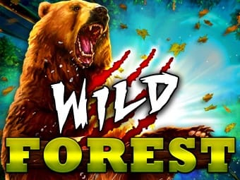 Wild Forest game thumbnail